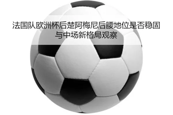 img_1781635950286_649_1_687.jpg