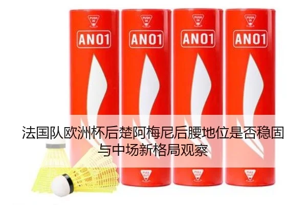 法国队欧洲杯后楚阿梅尼后腰地位是否稳固与中场新格局观察
